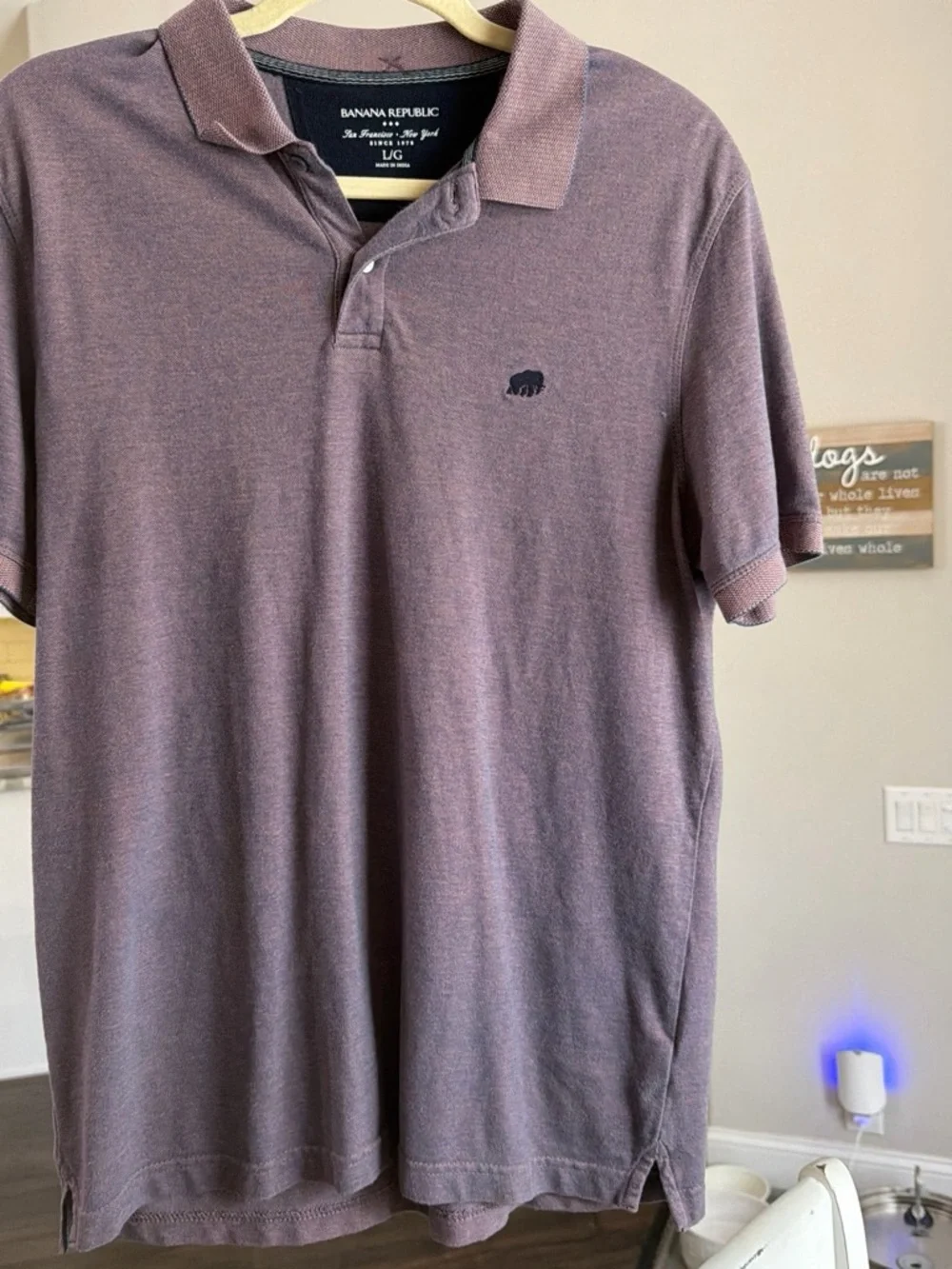 Banana Republic Men's Short Sleeve Polo in Dusty Purple